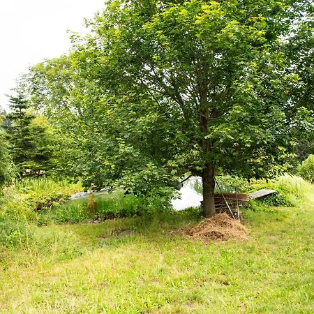 Krauthoffscher Kraeuterhof דירה Peilstein im Mühlviertel